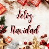 The Surfers - Deck the Halls