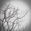 Joanma - Black Months