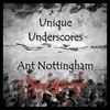 Ant Nottingham - Wonder Valley