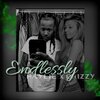 Drizzy、Haylie Nichole - Endlessly (feat. Haylie Nichole)
