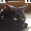 Piano for cats - Musica Para Gatos