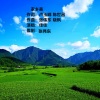 张伟东 - 家乡美