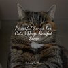 Music for Resting Cats、Cats Music Zone、Cat Music Experience - Soft Chords