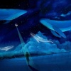 吴钟弦、Bravitar - 星夜赴约