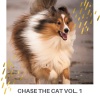 Sleeping Music For Dogs、Dog Music Therapy、Music for Dog's Ears - Doggie Sweet Thoughts of Fetching Sticks while Mistress is Working