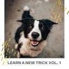 Sleeping Music For Dogs、Dog Music Therapy、Music for Dog's Ears - Pet Sweet Dreams of Chasing Cats while Master is at Work