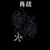 SkyzoRandomizer - 肖战