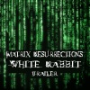 The Purple Gaze - White Rabbit