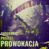 Shockwave《Prowokacja》[MP3/LRC]