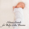 Baby Calmers All Stars、Restful Sleep Music Academy《Bird Call》[MP3/LRC]