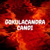 Gokulacandra、Jani Mikael Jaatinen - Bhamini