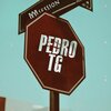Pedro TG、am - Am Session #3