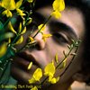 Dema - Something That Feels Good