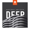 Radiorobotek、Mielafon - Camp