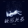 长春峰 - 敏感关系 (DJ版)