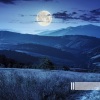 蝉声、自然声带 - 夜晚