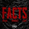 TntBeatz、A. Roy - FACTS (feat. Insane & A. Roy)(Explicit)