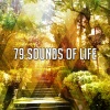 White Noise Therapy、White Noise Relaxation、White Noise Meditation - Self Examination