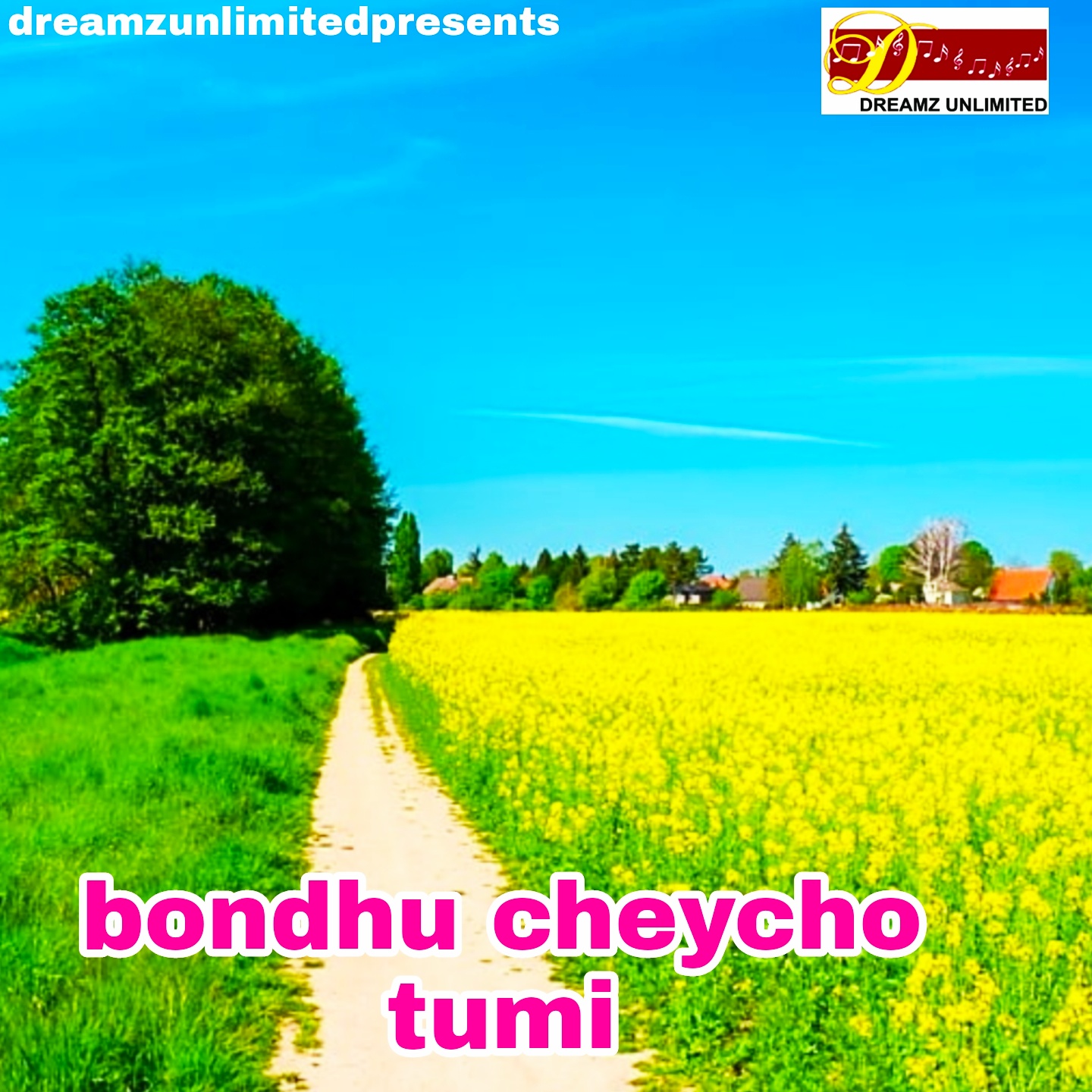 megha、bobu - BONDHU CHEYCHO TUMI