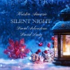 Kristin Amarie、David Lanz、David Arkenstone - Silent Night (feat. David Lanz & David Arkenstone)