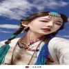 沈妹、圈妹 - Pcqr pdnm (DJ版)