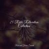 Tinnitus Aid、Sleep Songs 101、Mindfulness Mediation World - Love Relaxation