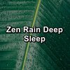 Sounds of Nature White Noise Sound Effects、Nature Spirit、Nature Recordings - Rain in the Rainy Forest To Relax and Loop for 8 Hours