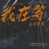 凌冉会飞 - 台北下了雪你说那是保利龙 (DJ版)