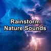 Rain Sounds HD、Rain Sound Studio、Rain for Sleeping - White Noise Rain in the Rainy Forest Calm Instrumental Sounds