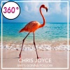 Chris Joyce - She's Gonna Follow