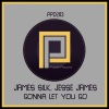 james silk、Jesse James《Gonna Let You Go (Radio Mix)》[MP3/LRC]