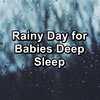 Rain Sounds HD、Rain Sound Studio、Rain for Sleeping - Quiet Rain for Brain Relaxation and Mindfulness To Help You Take A Nap
