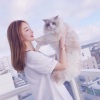 心兮、DJ、华语群星 - 失去一个最爱的人 才能记忆深刻