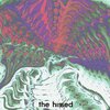 TheHissed、Paolo Frizard - Drove Off (Paolo Frizard Remix)