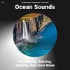 Sea Waves Sounds、Nature Sounds、Ocean Sounds - Ocean Sounds for Sleeping and Relaxing Pt. 1