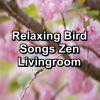 Yoga Master、Yoga Shala、Yoga & Meditation《Birds Sounds Natural Sounds To Loop as Long as you Need》[MP3/LRC]