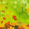 浅笑安然 - 又是一年秋风起