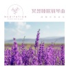 睡眠导入贵族音乐 - 指向月亮的指南针 (冥想)
