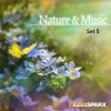 Val Goldsack - Woodland and Relaxation