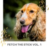 Sleeping Music For Dogs、Dog Music Therapy、Music for Dog's Ears - Lovely Dog Relaxing Dreams of Playing while Left at Home