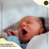 anthony white - The Spark Of Life