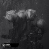 Lost. - Senorita