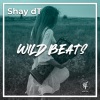 Shay DT、2021 Shay Dotan《Wild Beats》[MP3/LRC]