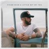 Tyler Rich《A Little Bit Of You》[MP3/LRC]