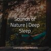 Sleepy Times、Sons da Natureza & Relaxamento、The Sleep Specialist - Sleep Time