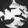 ArchivOne - Evacuation (Original Mix)