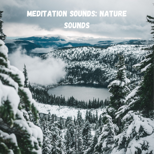 The Nature Soundscapes、Outdoor Field Recorders、Study Music & Sounds - Gentle Stream Splash
