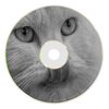 Mig Camacho - Dance With Me (Original Mix)