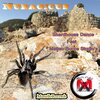 Shardhouse Dance - Nuragicus (ft. Matteo Bucca Studio's)(Original Mix)