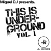 Miguel Dj《Going To The Detroit (Original Mix)》[MP3/LRC]